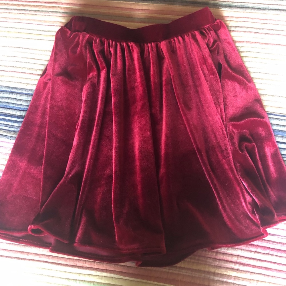 Velvet Skirt